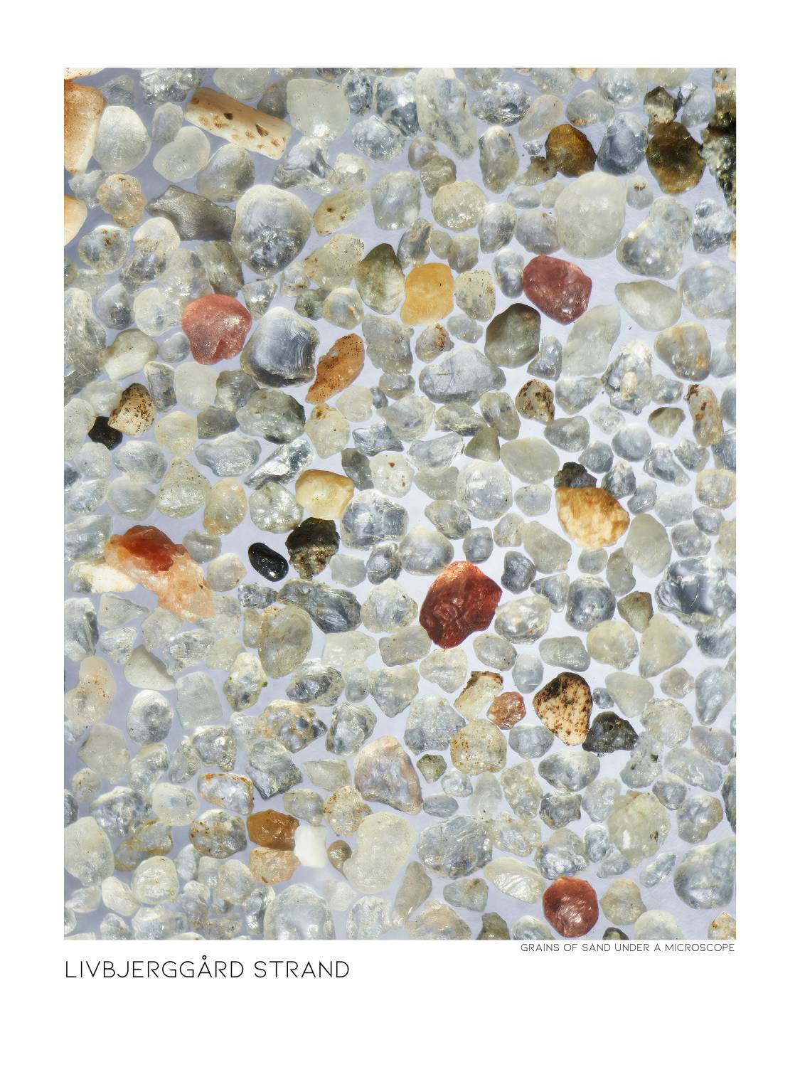 Sandposter Livbjerggård Strand